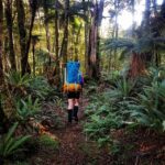 טרק ניו זילנד