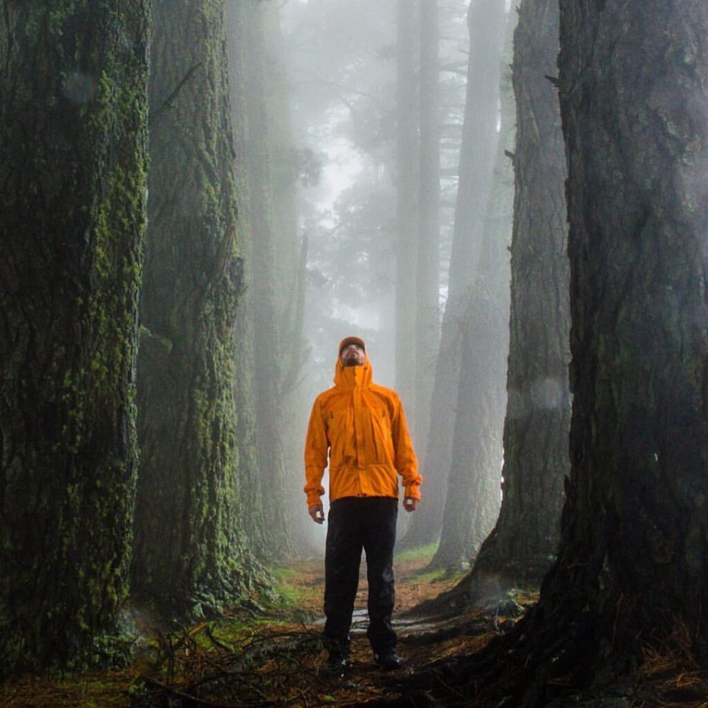 על ניו-זילנד בקצה המזלג