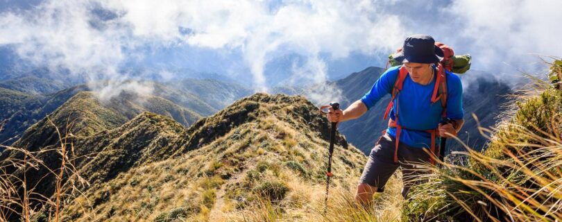 טרק ניו זילנד