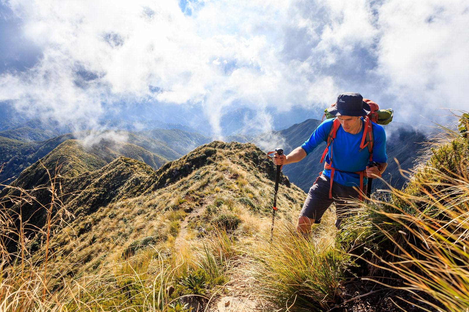 טרק ניו זילנד