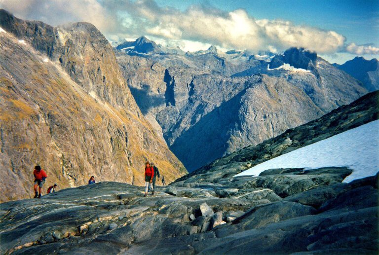גרטרוד סאדל ניו זילנד