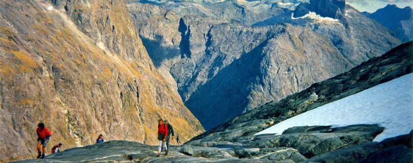 גרטרוד סאדל ניו זילנד