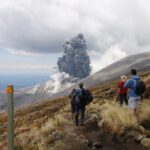 סכנות בניו-זילנד