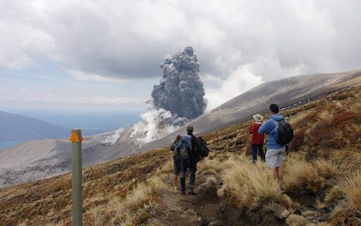 סכנות בניו-זילנד