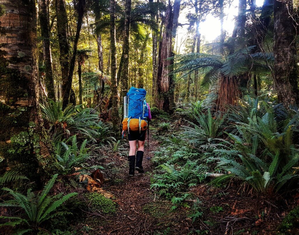 טרק בניו זילנד