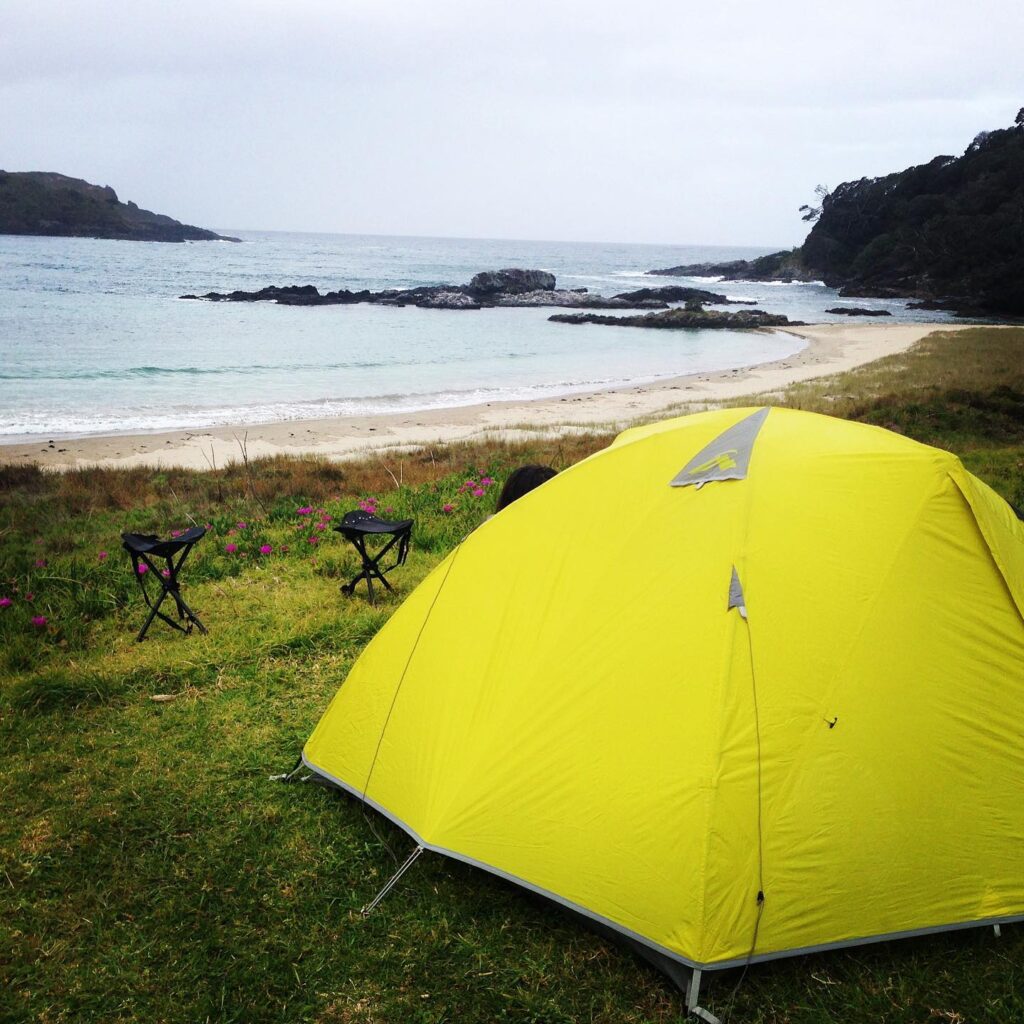 על ניו-זילנד בקצה המזלג