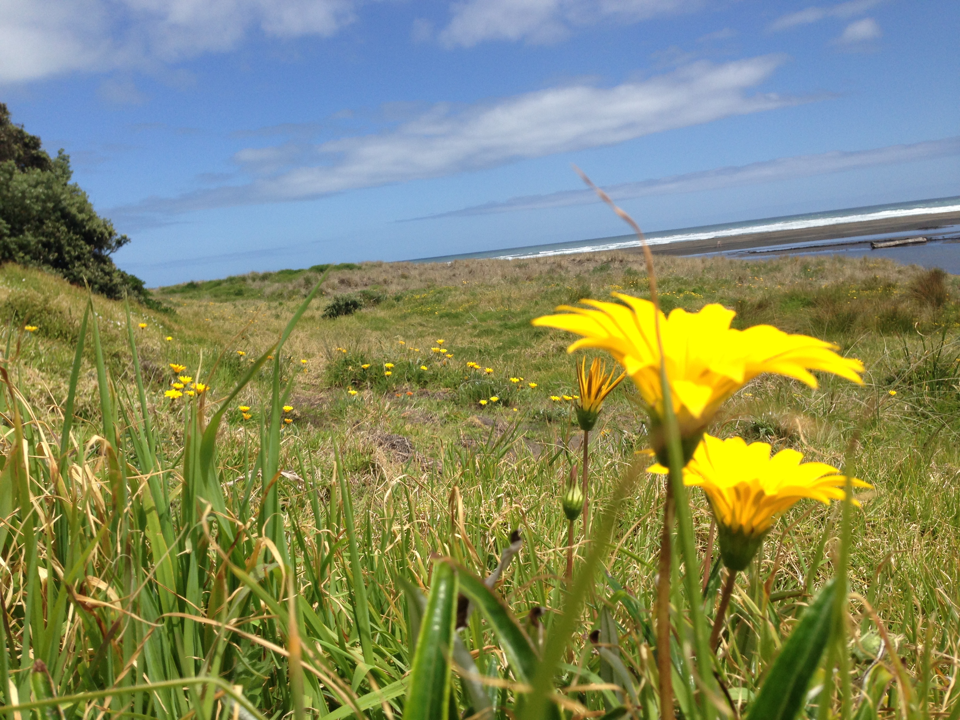 טיול בניו זילנד