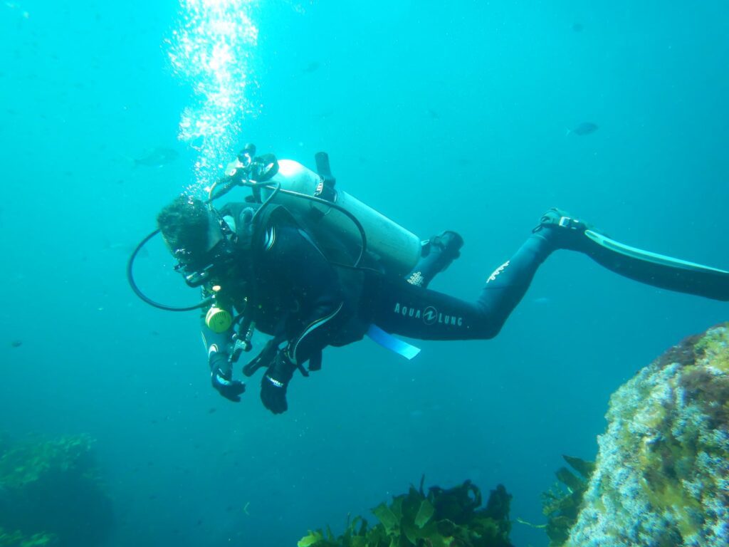 לצלול בניו זילנד. צלילה