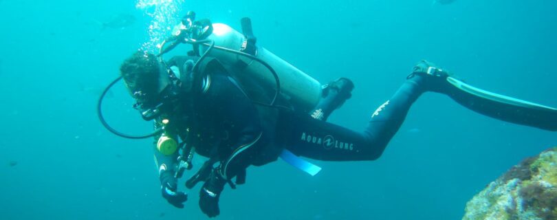 צלילה ניו זילנד