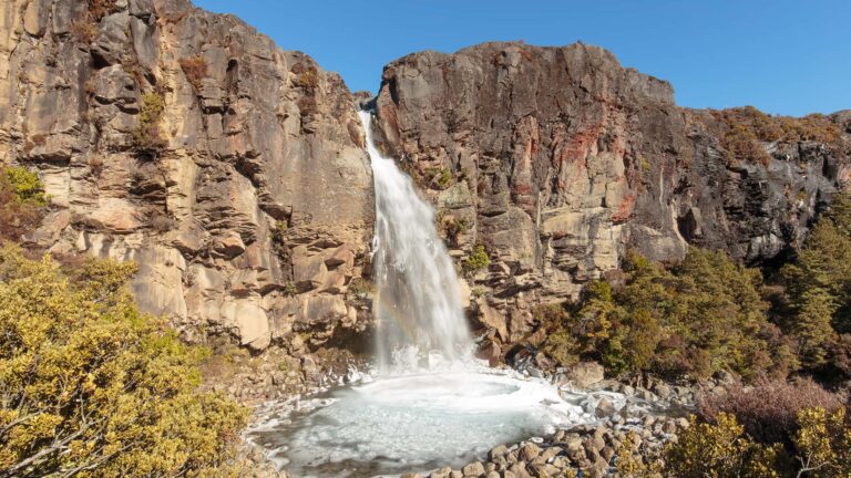 ניו-זילנד טונגרירו
