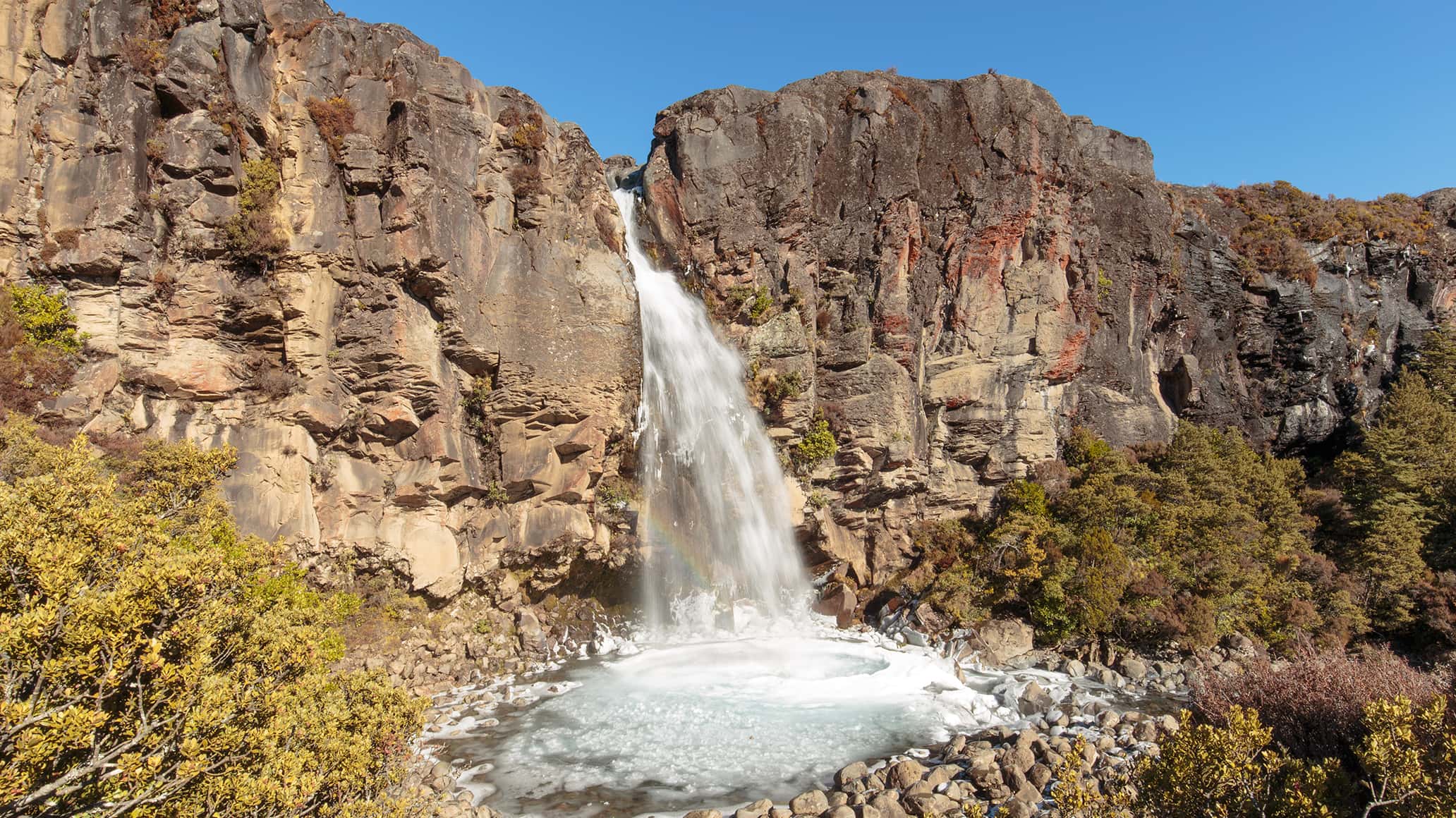 ניו-זילנד טונגרירו