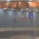 כניסה לניו זילנד