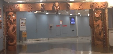 כניסה לניו זילנד