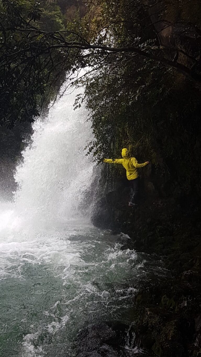 ניו-זילנד טונגרירו