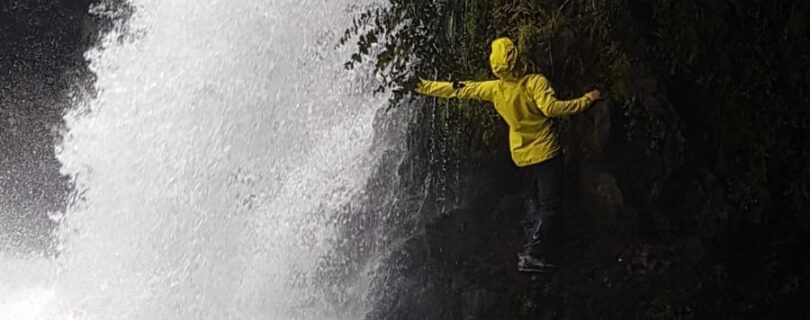 ניו-זילנד טונגרירו