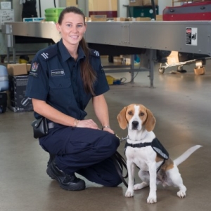 דברים שחובה לדעת על הבידוק בכניסה לניו-זילנד