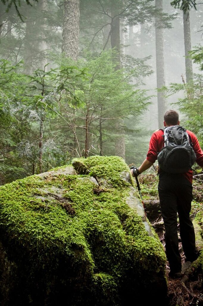 המדריך השלם למקרה והלכתם לאיבוד. הלכתי לאיבוד! מה לעשות? ואיך נכון לפעול - בלי פניקה, הנה הוראות מועילות שיעזרו לכם להתמודד עם המצב - בטיחות בטרקים בניו זילנד