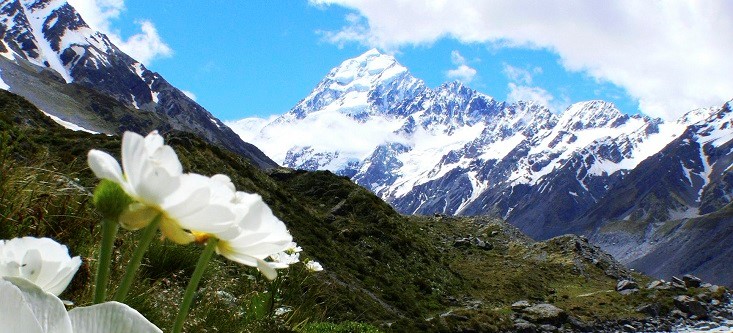הר קוק ניו זילנד