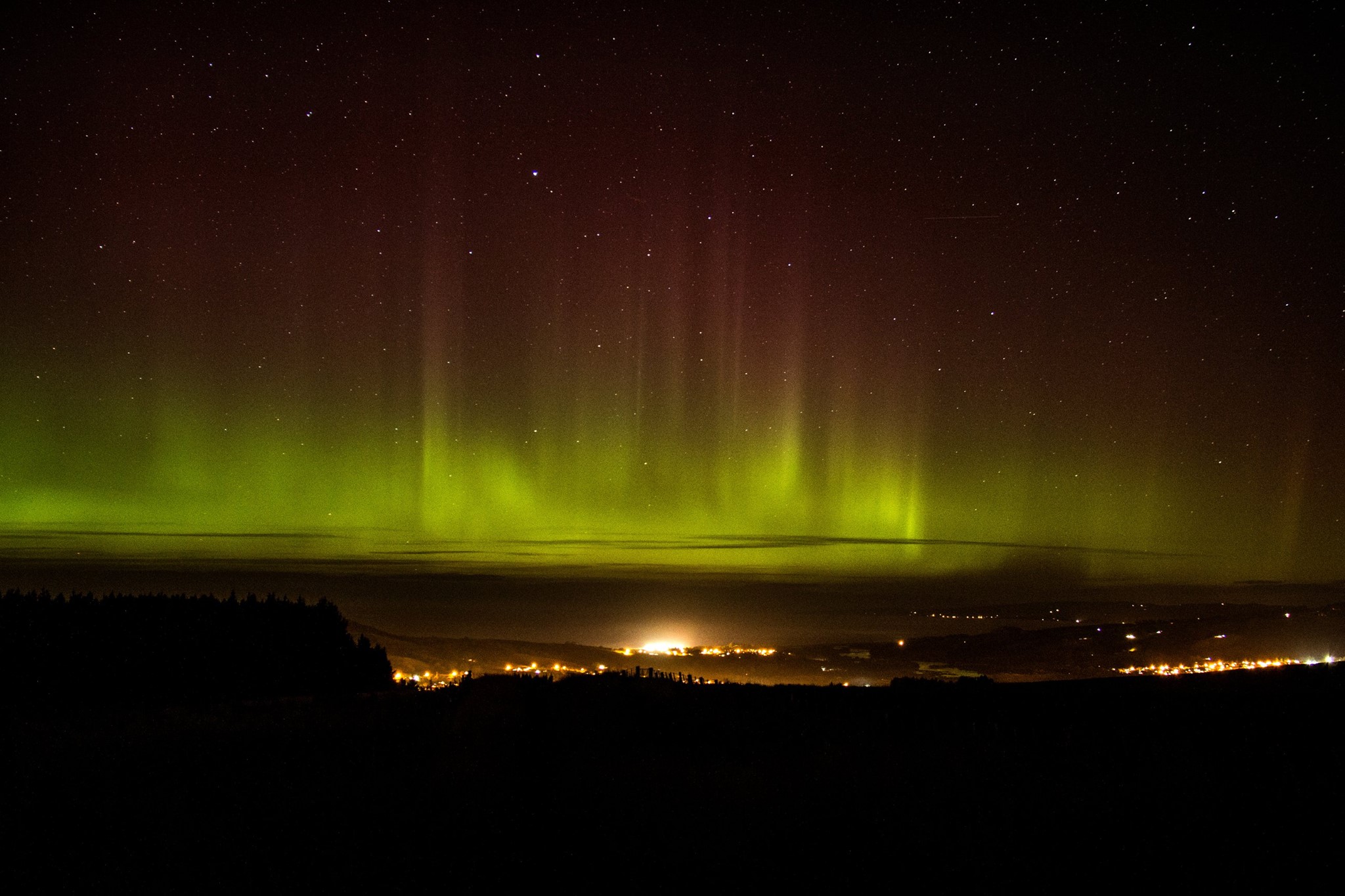 דנידין זוהר דרומי