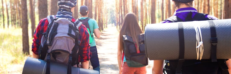 ביטוח לניו זילנד