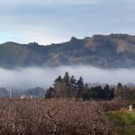 מבט פנורמי על רכס הרי טה מאטה (Te Mata Peak) בניו זילנד. פסגת ההר המשוננת מתנשאת מעל שכבת ערפל לבנה וסמיכה המכסה את העמק, כשבחזית נראים מטעים וכרמים בשלכת תחת שמיים בהירים.