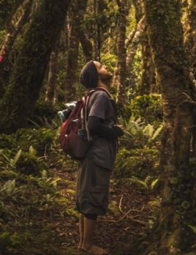 יצחק שניידרמן עומד ביער צפוף ומביט למעלה בין עצים גבוהים