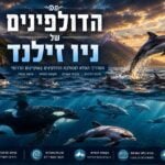 אינפוגרפיקה פנורמית וקולנועית בעברית תחת הכותרת הגדולה "הדולפינים של ניו זילנד – המדריך המלא לממלכת הדולפינים באוקיינוס הדרומי". התמונה מציגה מבט חצוי מעל ומתחת לקו המים: בחלק העליון נראה דולפין קופץ באוויר מתוך הים לצד להקת דולפינים ולווייתן קטלן (אורקה) צף, על רקע שקיעה מוזהבת, הרים אלפיניים ומגדלור על צוק. בחלק התחתון, מתחת למים הכחולים והצלולים עם קרני אור, שוחים קטלן וקבוצת דולפינים מסוגים שונים. בתחתית מופיעים חמישה אייקונים עגולים עם פירוט נושאי המדריך (מינים, תרבות, מקומות לצפייה, חוויות ושימור).